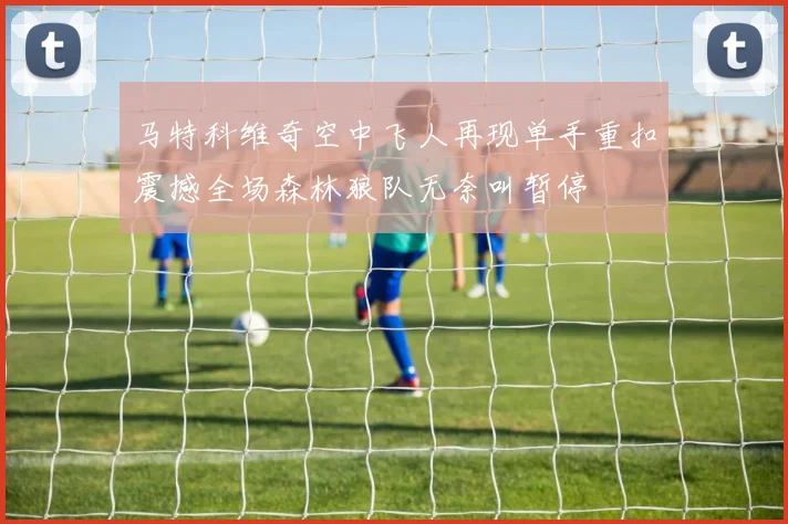 马特科维奇空中飞人再现单手重扣震撼全场森林狼队无奈叫暂停