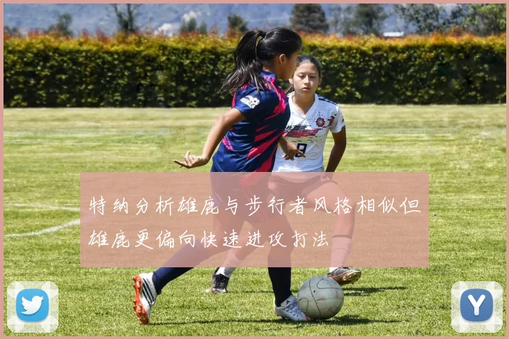 特纳分析雄鹿与步行者风格相似但雄鹿更偏向快速进攻打法