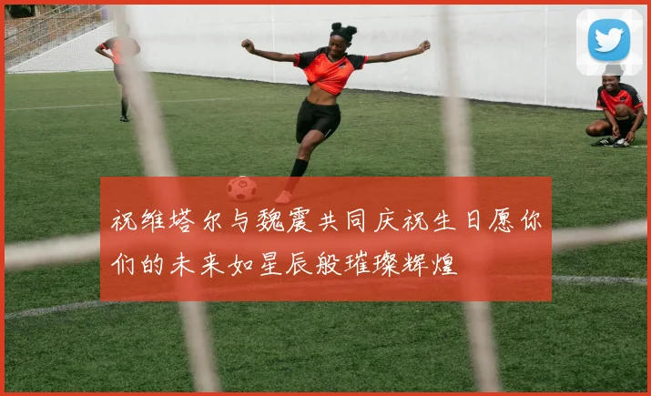 祝维塔尔与魏震共同庆祝生日愿你们的未来如星辰般璀璨辉煌